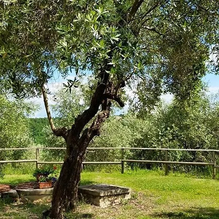 Madonna Della Sanita Sleeps 4 Pool Wifi Città della Pieve